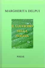 Il Luccichio Della Pioggia