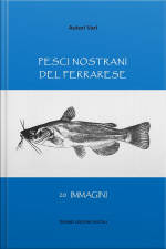 Pesci Nostrani Del Ferrarese: 20 Immagini
