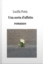 Una Sorta Daffetto: Romanzo