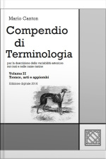 Compendio Di Terminologia - Vol. Ii