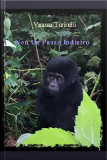 Non Un Passo Indietro -: Lintersezione Delle Rette Parallele