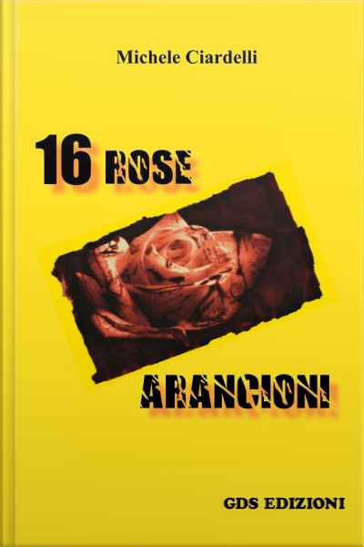 16 Rose Arancioni