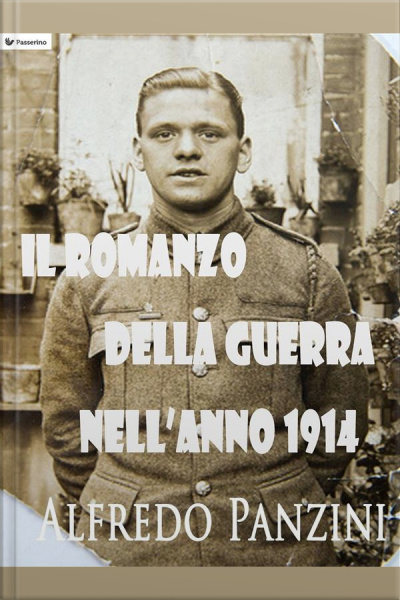Il Romanzo Della Guerra Nellanno 1914