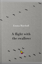 A Flight With The Swallows