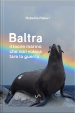 Baltra, Il Leone Marino Che Non Voleva Fare La Guerra