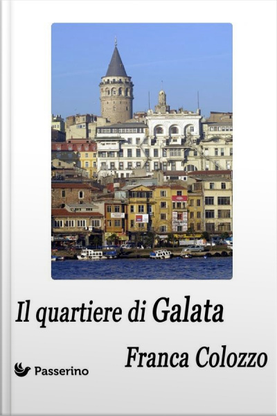 Il Quartiere Di Galata: Dalle Mie Impressioni Di Viaggio E Di Permanenza Per Motivi Di Lavoro A Istanbul