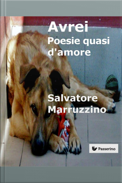 Avrei: Poesie Quasi Damore