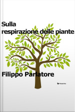 Sulla Respirazione Delle Piante