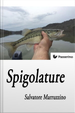 Spigolature