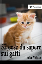 52 Cose Da Sapere Sui Gatti