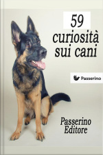 59 Curiosità Sui Cani