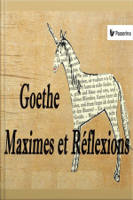 Maximes Et Réflexions