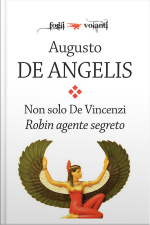 Non Solo De Vincenzi. Robin Agente Segreto