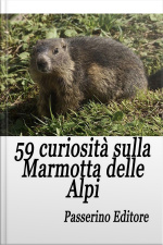 59 Curiosità Sulla Marmotta Delle Alpi
