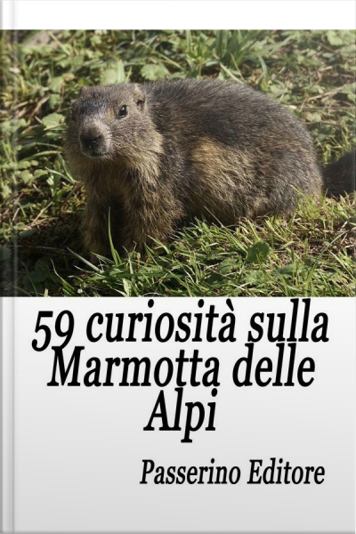 59 Curiosità Sulla Marmotta Delle Alpi