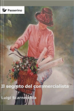 Il Segreto Del Commercialista