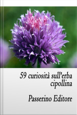 59 Curiosità Sullerba Cipollina
