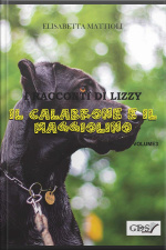 Il Calabrone E Il Maggiolino