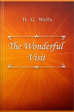 The Wonderful Visit