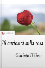 78 Curiosità Sulla Rosa