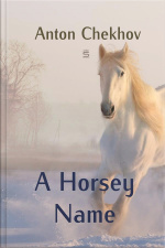 A Horsey Name