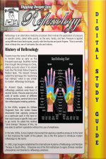 Reflexology (blokehead Easy Study Guide)