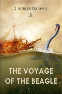 The Voyage Of The Beagle