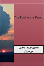 The Pool In The Desert