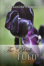 The Black Tulip