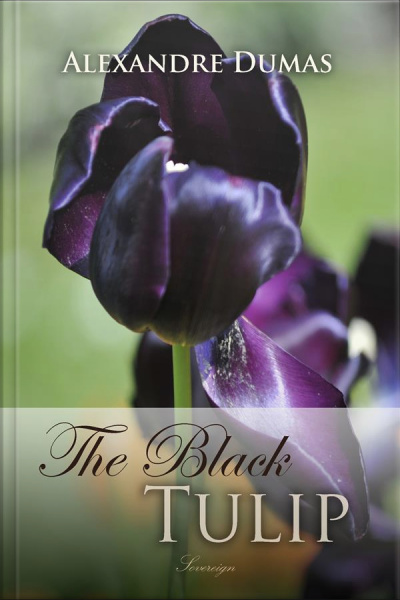 The Black Tulip