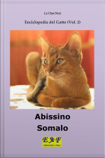 Abissino - Somalo