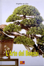 Larte Del Bonsai