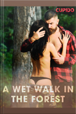 A Wet Walk In The Forest
