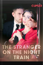 The Stranger On The Night Train