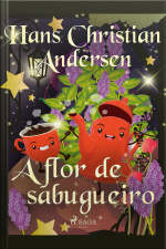 A Flor De Sabugueiro