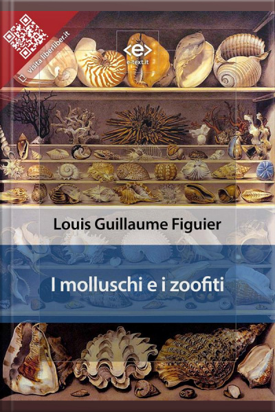 I Molluschi E I Zoofiti
