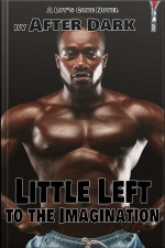 Little Left To The Imagination