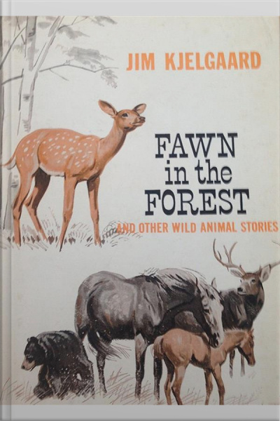 Fawn In The Forest And Other Wild Animal Stories