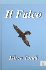 Il Falco