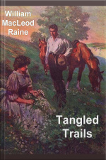 Tangled Trails: A Western Detective Story