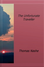 The Unfortunate Traveller