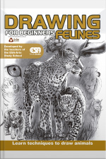 Drawing For Beginners (felines) Edição 1
